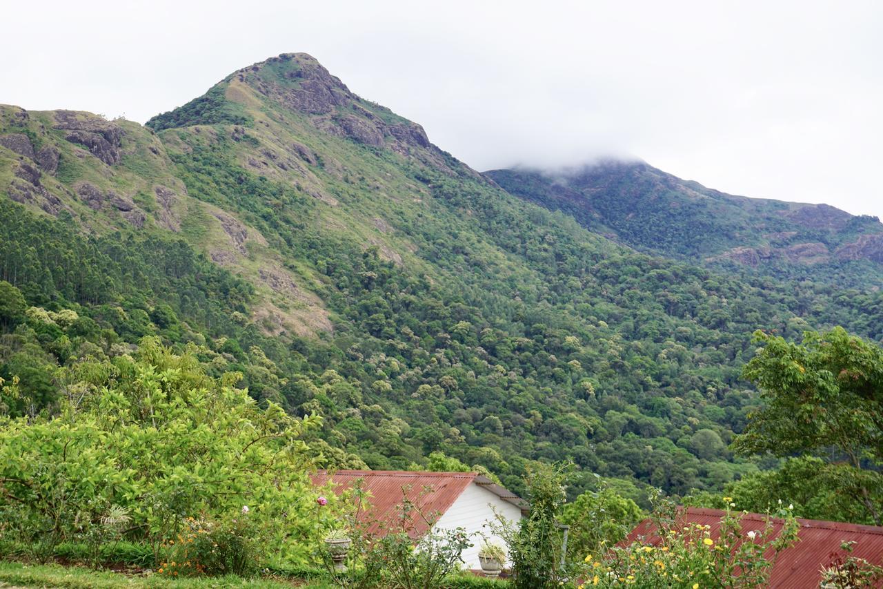 Windermere Estate Munnar Zewnętrze zdjęcie