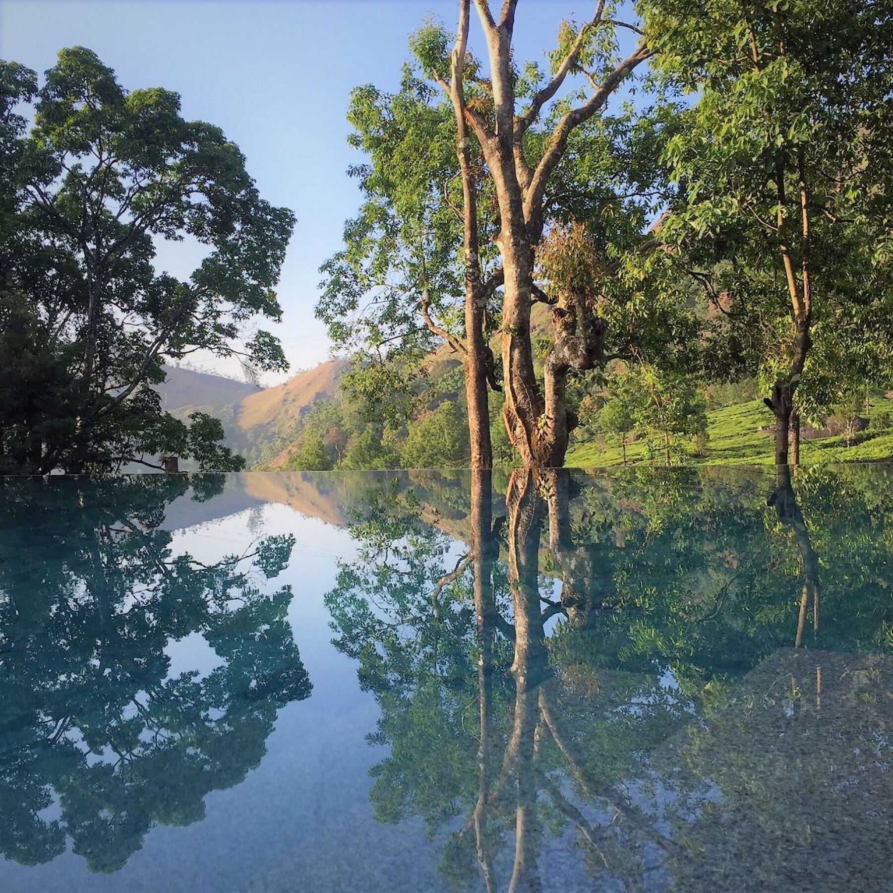 Windermere Estate Munnar Zewnętrze zdjęcie
