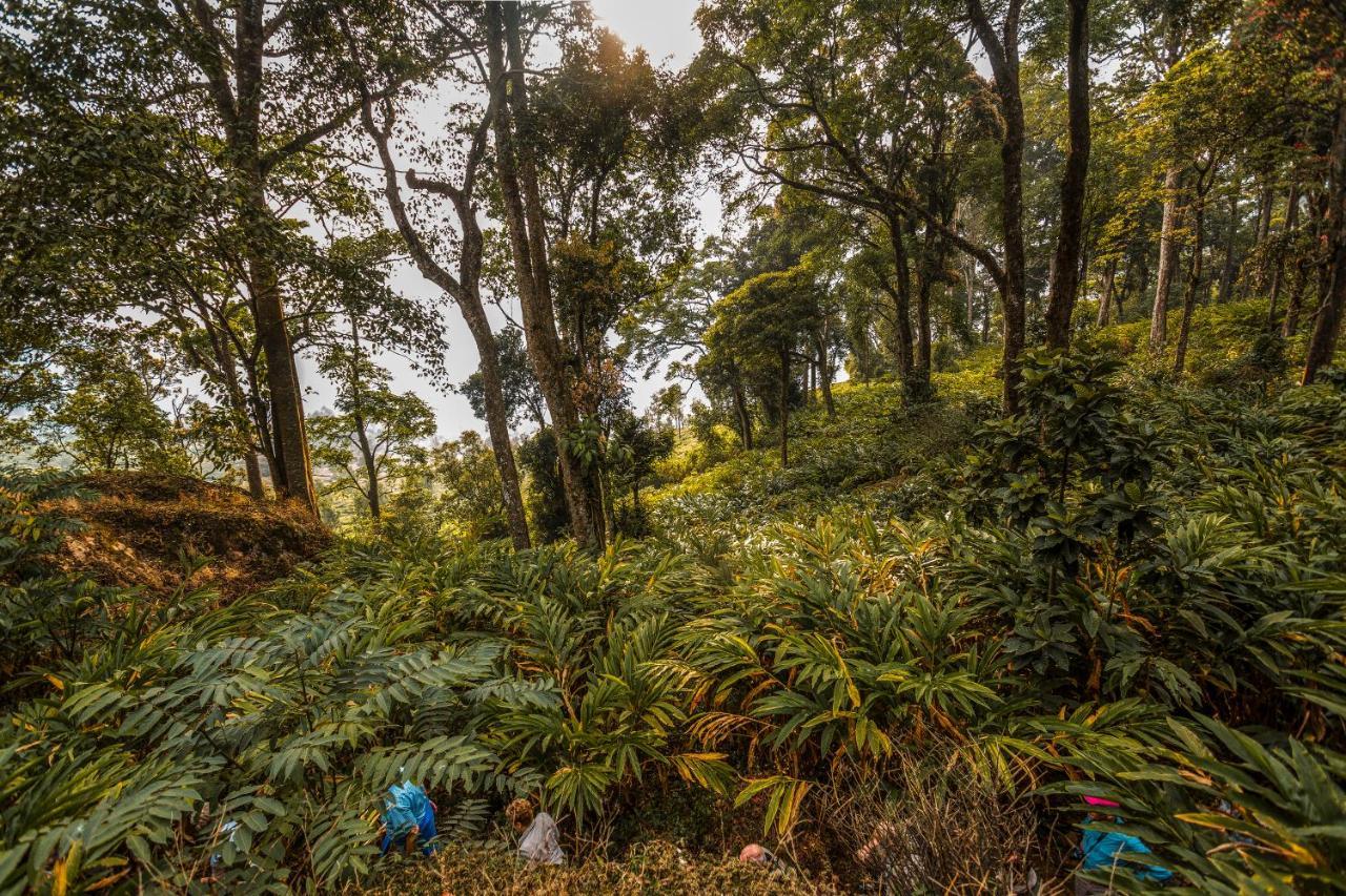 Windermere Estate Munnar Zewnętrze zdjęcie